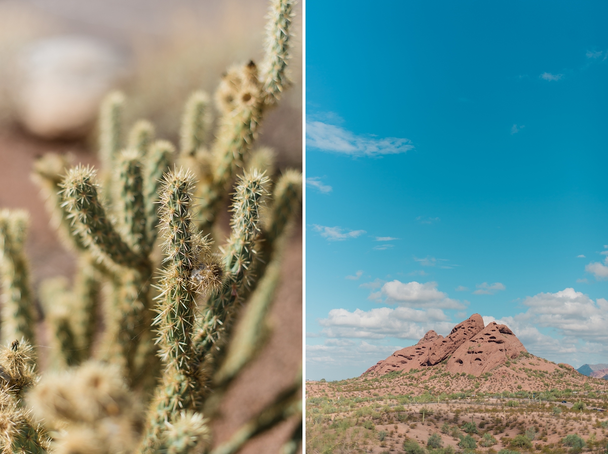 Phoenix_Arizona_and_Destination_Landscapes_by_Lauren_R_Swann-photo12