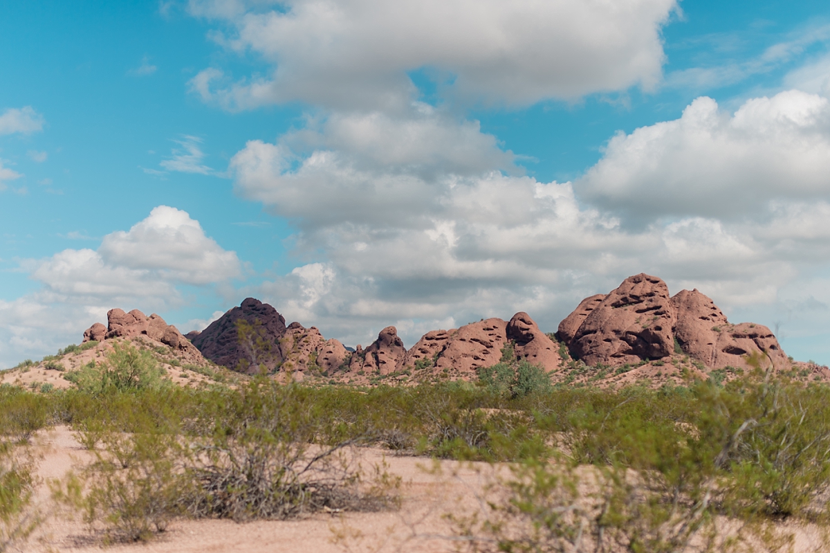 Phoenix_Arizona_and_Destination_Landscapes_by_Lauren_R_Swann-photo13