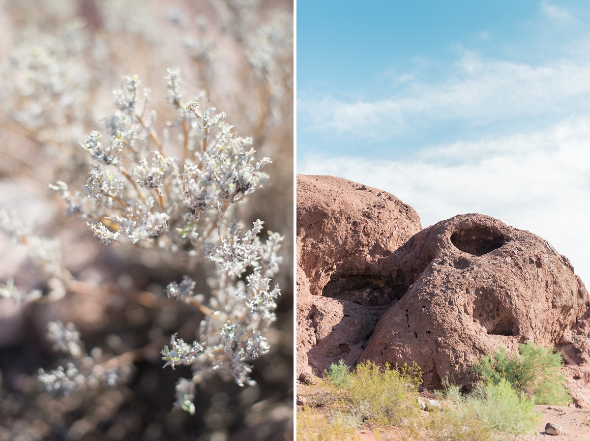 Phoenix_Arizona_and_Destination_Landscapes_by_Lauren_R_Swann-photo6