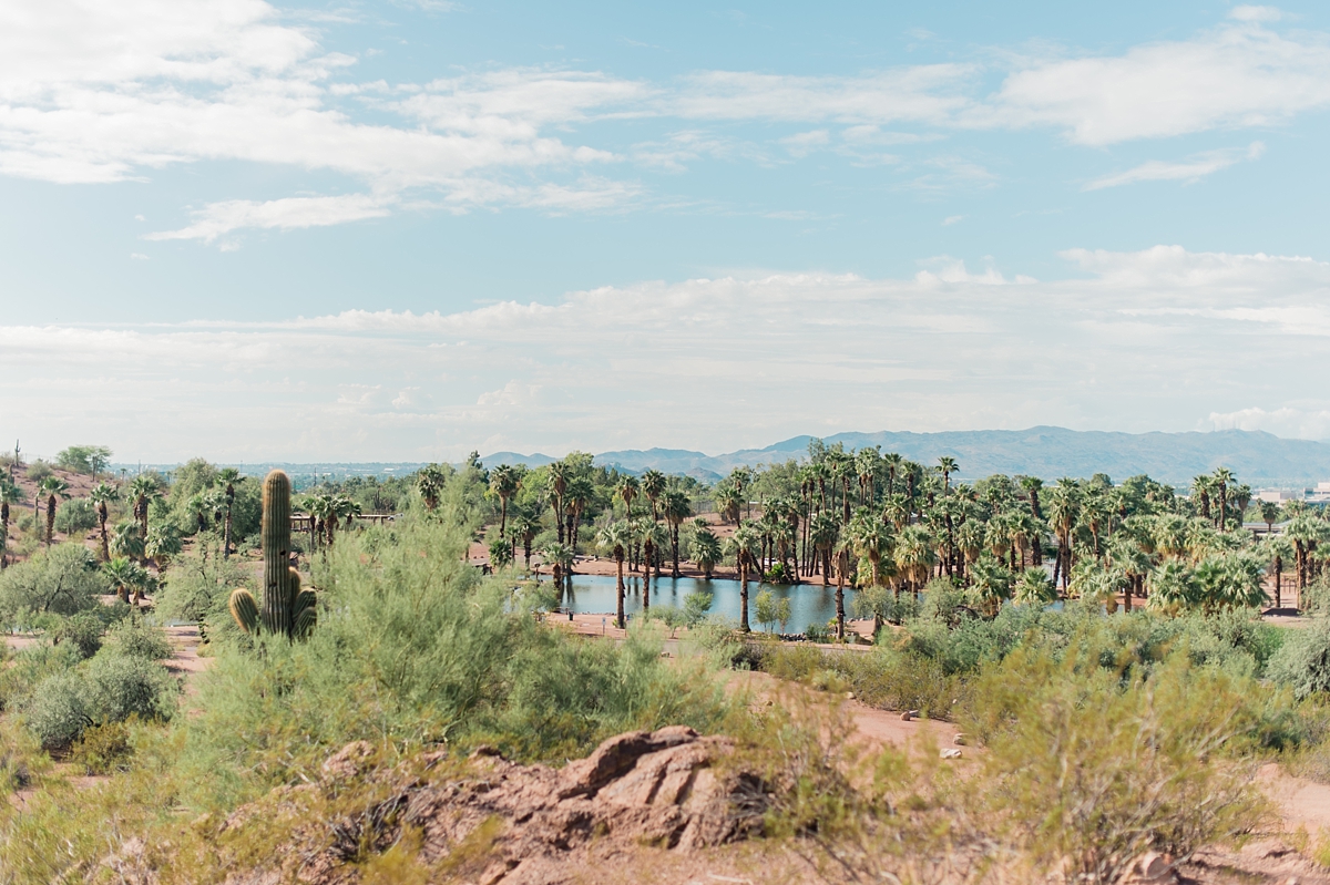 Phoenix_Arizona_and_Destination_Landscapes_by_Lauren_R_Swann-photo7