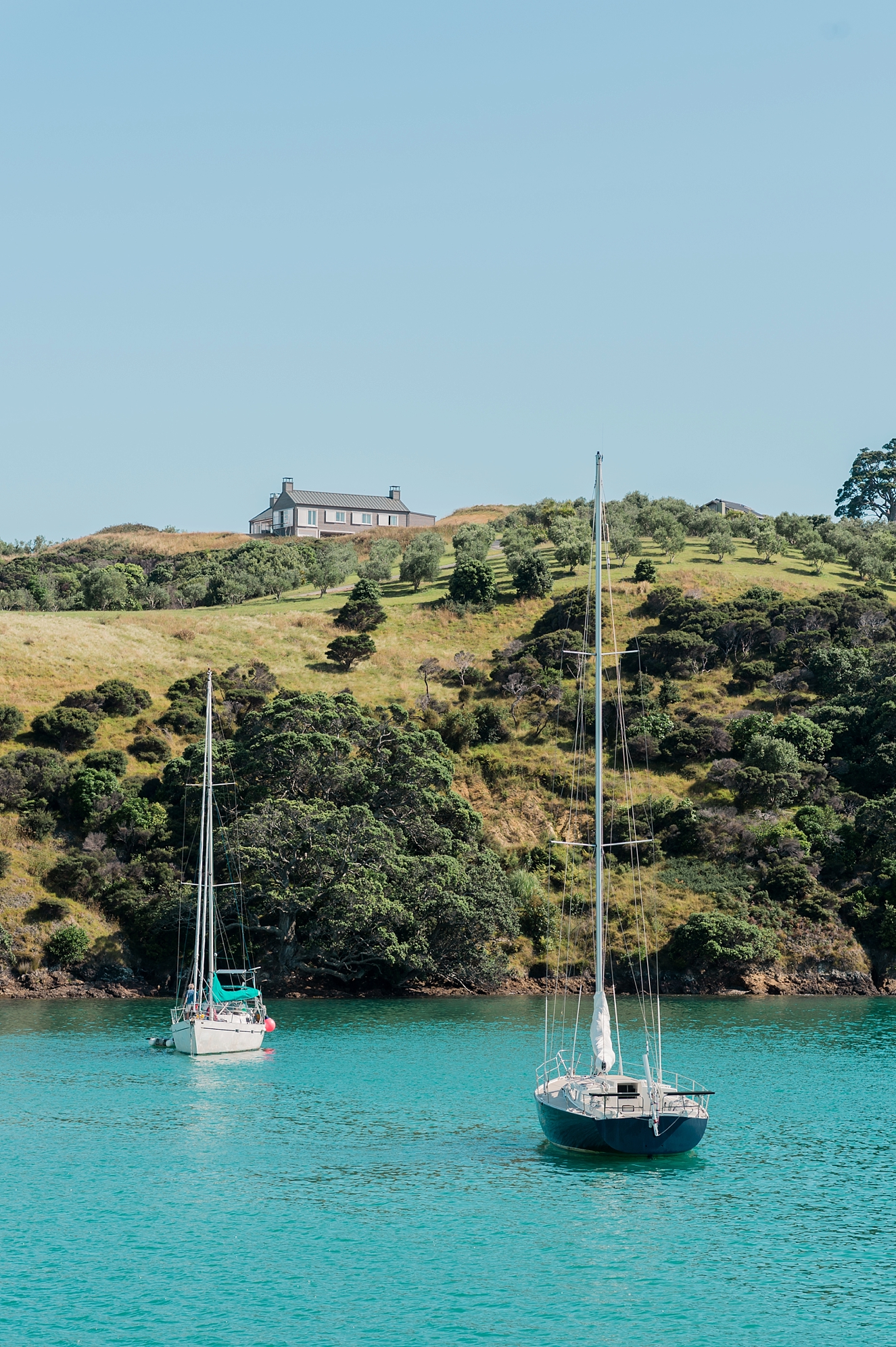 Waiheke Island, Auckland New Zealand by Destination Photographer Lauren R Swann
