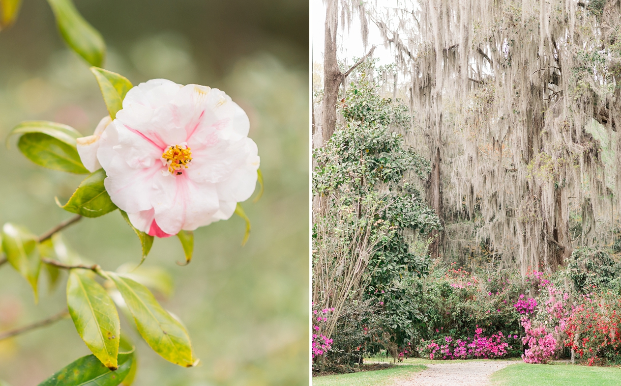 Magnolia Plantation, Charleston South Carolina | East Coast and Destination Wedding Photographer | Lauren R Swann