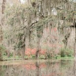 Exploring Magnolia Plantation – Charleston, South Carolina