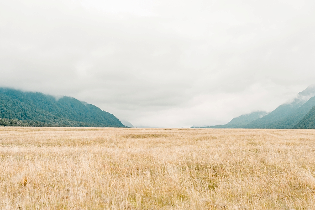 Milford Sound, New Zealand by Fine Art Travel Photographer Lauren R Swann