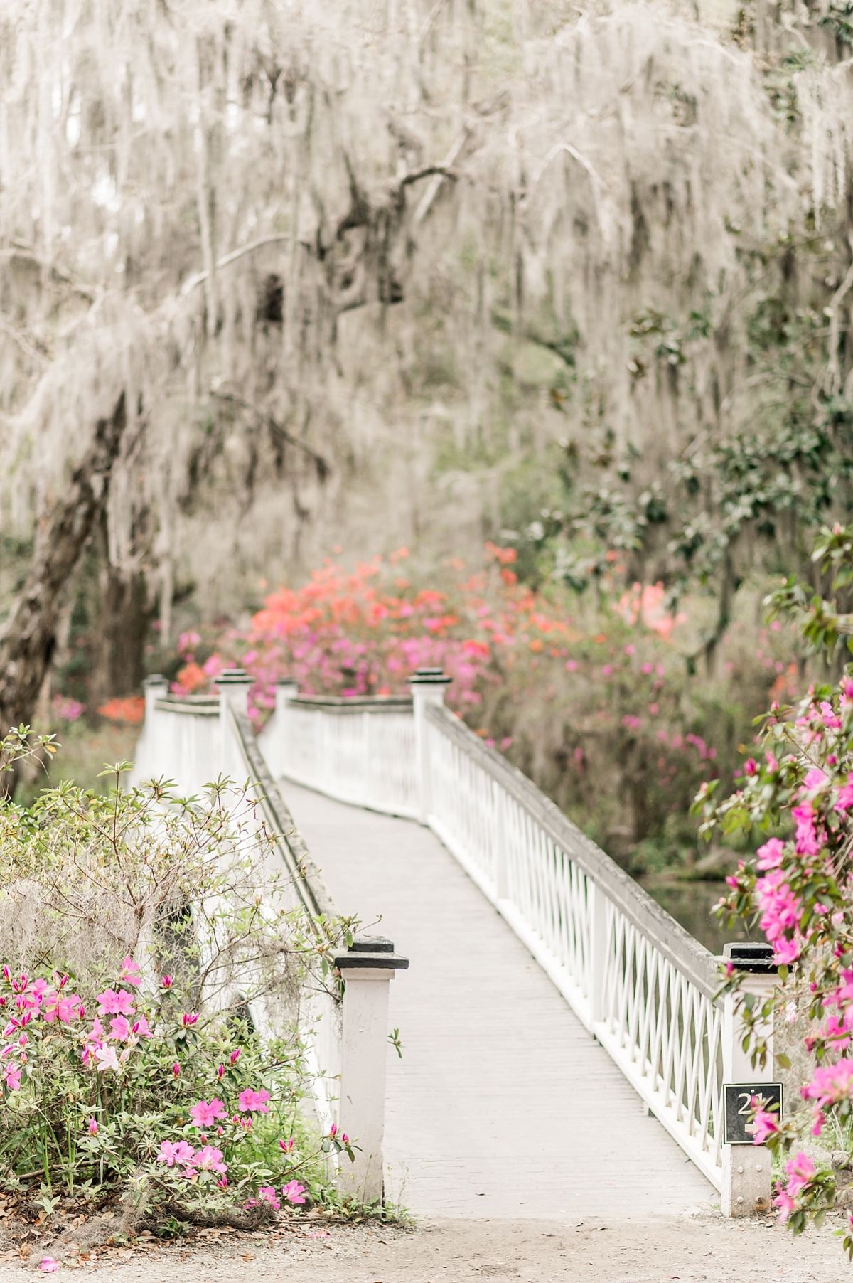 Charleston, South Carolina by Fine Art Travel Photographer Lauren R Swann