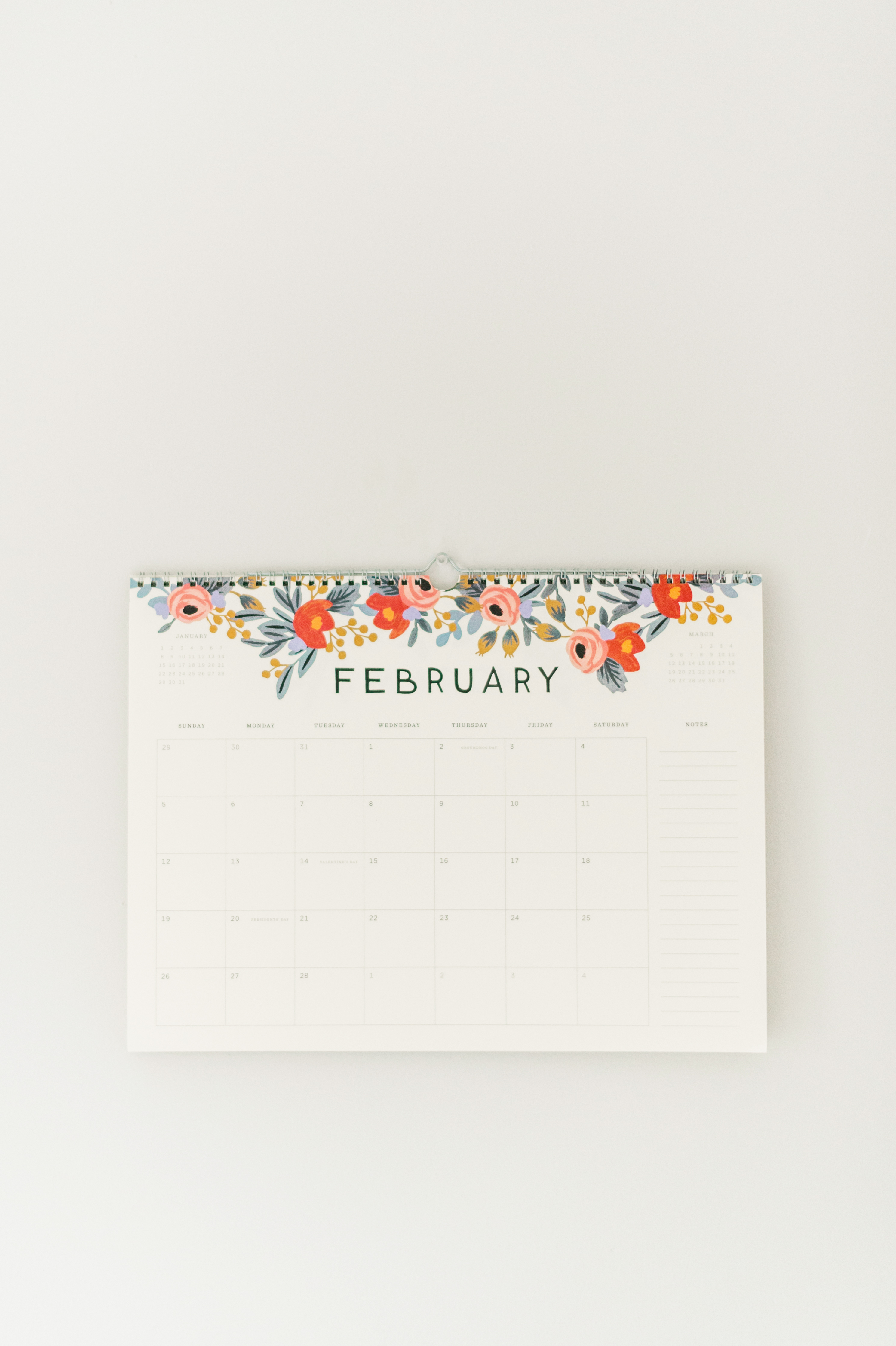 Rifle Paper Co Calendars | Hello February | Monthly Goals + Dreams | Lauren R Swann Photography, LLC