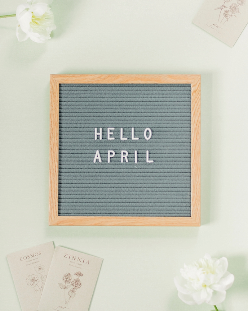 Hello April | Monthly Goals and Dreams for Wedding Photographer Lauren R Swann