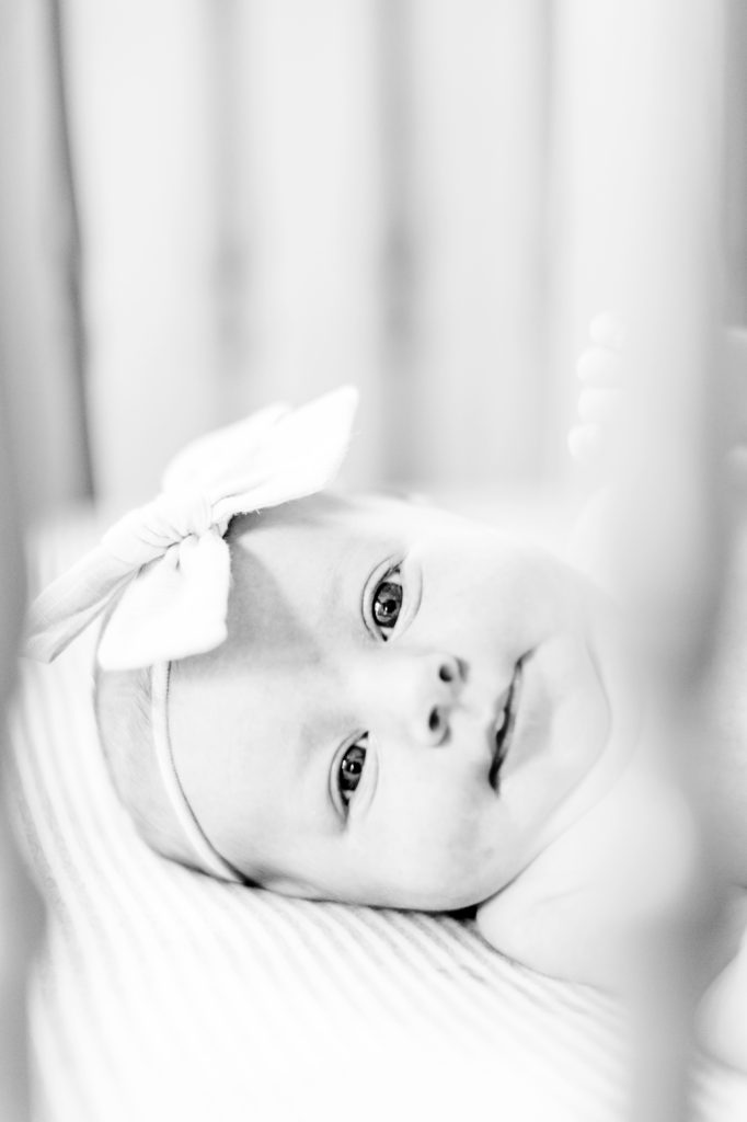 Newborn Portrait's Photographer Lauren R Swann photo