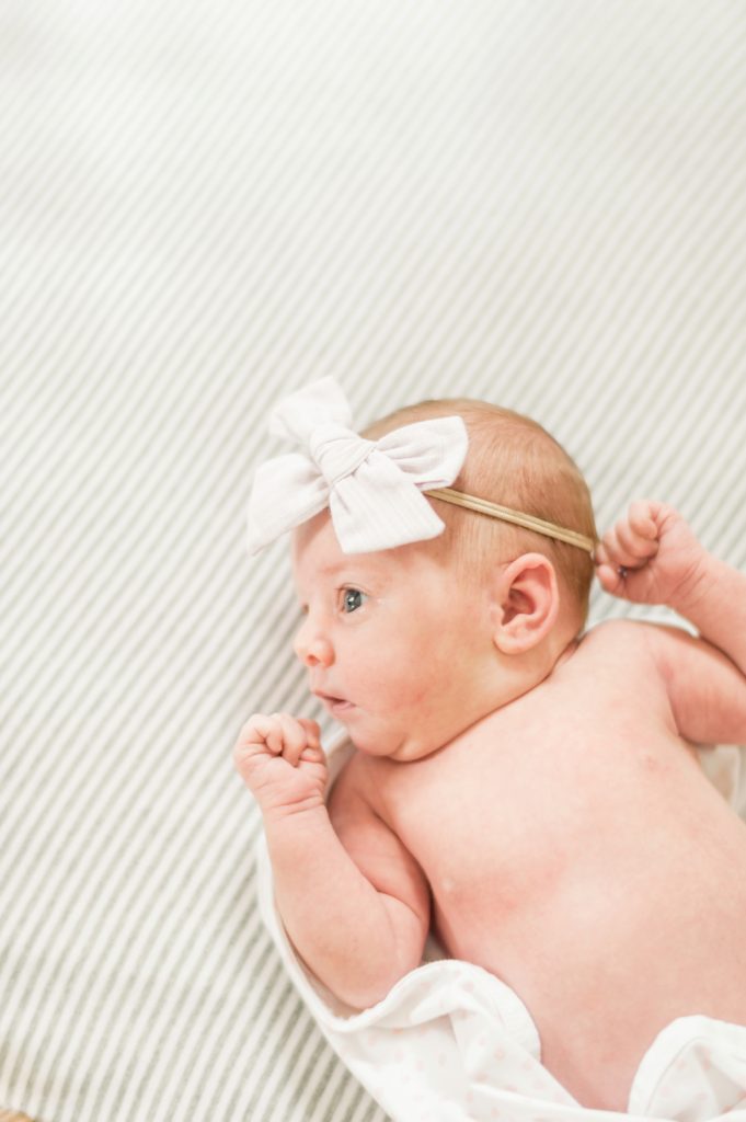 Newborn Portrait's Photographer Lauren R Swann photo
