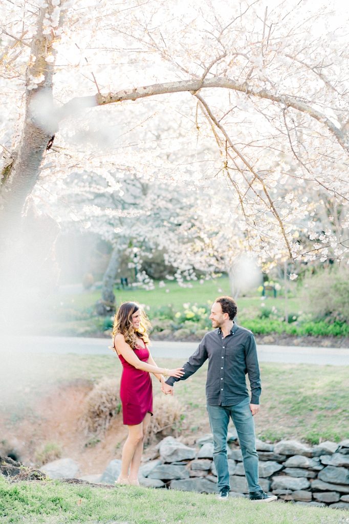 An engaged couple standing under the Cherry Blossoms in Bethesda by DC Wedding Photographer Lauren R Swann photo