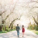 Bethesda Cherry Blossoms – Zack & Jenna