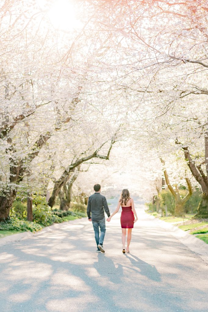 An engaged couple standing under the Cherry Blossoms in Bethesda by DC Wedding Photographer Lauren R Swann photo