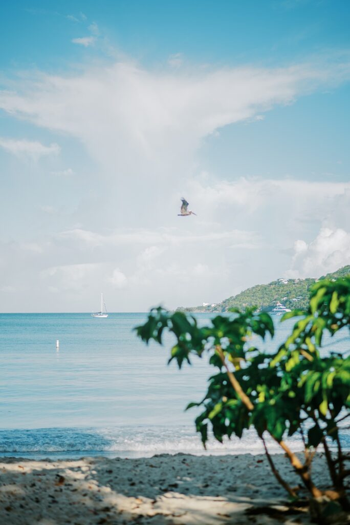Magen's Bay Beach St Thomas